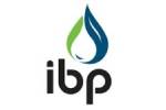 ibp logo